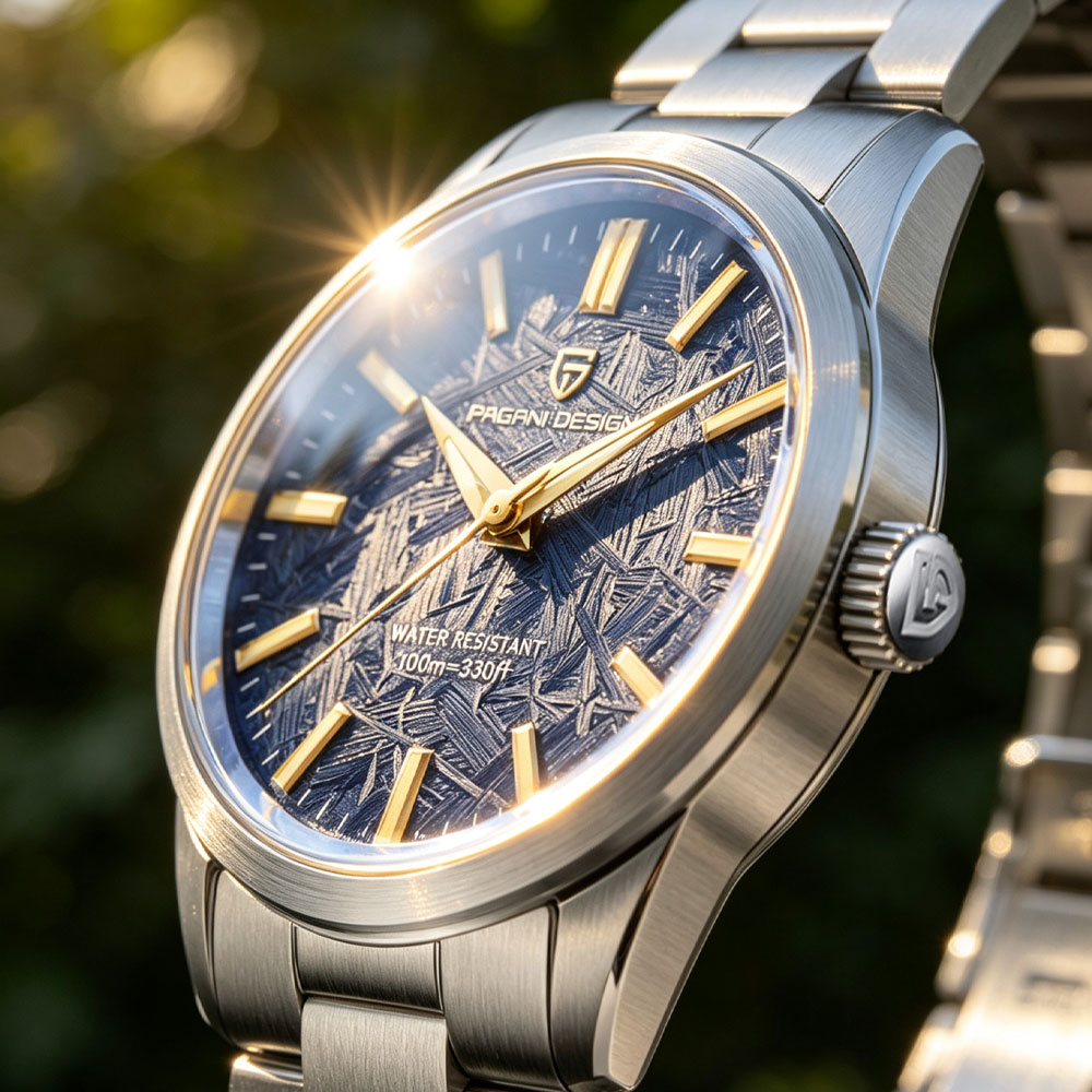 PAGANI DESIGN 40MM Men Quartz  - đánh giá và giá Luxury Watch Quality